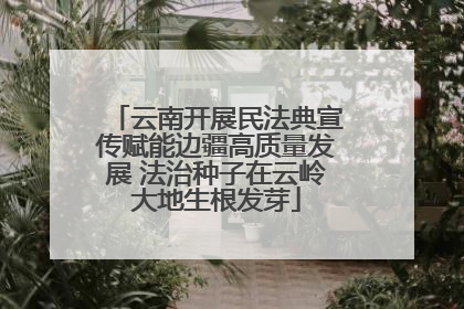 云南开展民法典宣传赋能边疆高质量发展 法治种子在云岭大地生根发芽