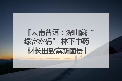 云南普洱：深山藏“绿富密码” 林下中药材长出致富新图景