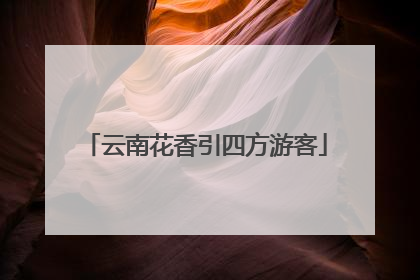 云南花香引四方游客