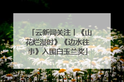云新闻关注丨《山花烂漫时》《边水往事》入围白玉兰奖