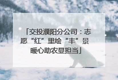 交投濮阳分公司：志愿“红”里绘“丰”景 暖心助农显担当