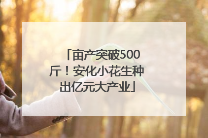 亩产突破500斤！安化小花生种出亿元大产业