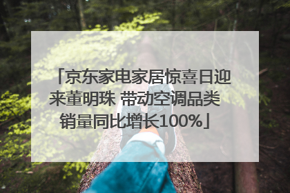 京东家电家居惊喜日迎来董明珠 带动空调品类销量同比增长100%