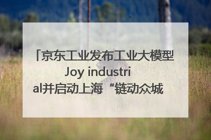 京东工业发布工业大模型Joy industrial并启动上海“链动众城 万亿降本”计划