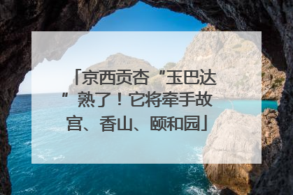 京西贡杏“玉巴达”熟了！它将牵手故宫、香山、颐和园