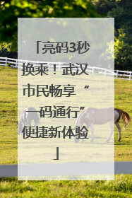 亮码3秒换乘！武汉市民畅享“一码通行”便捷新体验