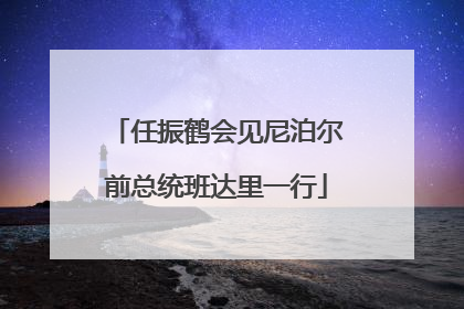 任振鹤会见尼泊尔前总统班达里一行
