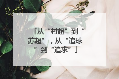 从“村超”到“苏超”，从“追球”到“追求”