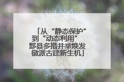 从“静态保护”到“动态利用” 黟县多措并举焕发徽派古建新生机
