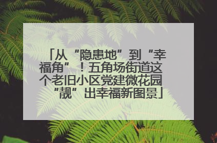 从“隐患地”到“幸福角”！五角场街道这个老旧小区党建微花园“靓”出幸福新图景