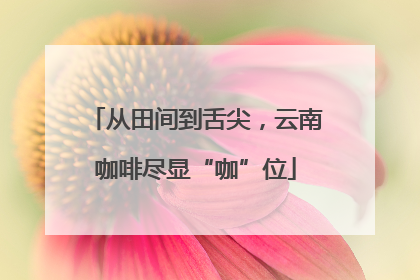 从田间到舌尖，云南咖啡尽显“咖”位