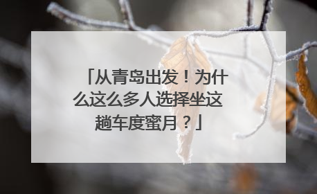 从青岛出发！为什么这么多人选择坐这趟车度蜜月？