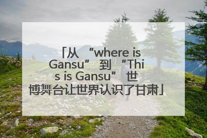 从 “where is Gansu” 到 “This is Gansu” 世博舞台让世界认识了甘肃