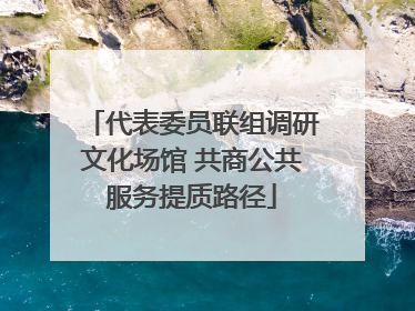 代表委员联组调研文化场馆 共商公共服务提质路径