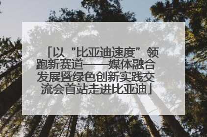 以“比亚迪速度”领跑新赛道——媒体融合发展暨绿色创新实践交流会首站走进比亚迪