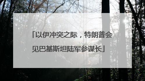 以伊冲突之际，特朗普会见巴基斯坦陆军参谋长