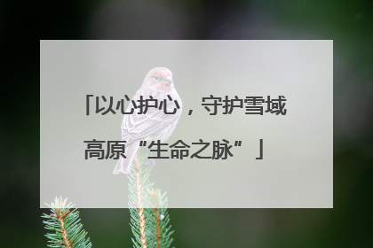 以心护心，守护雪域高原“生命之脉”