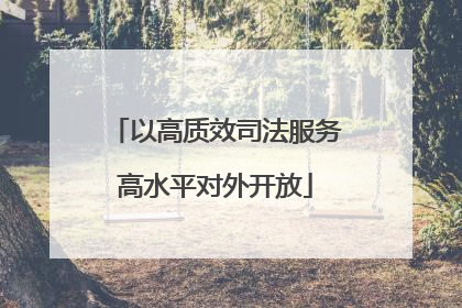 以高质效司法服务高水平对外开放