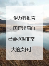 伊万科维奇：国足出局自己会承担非常大的责任