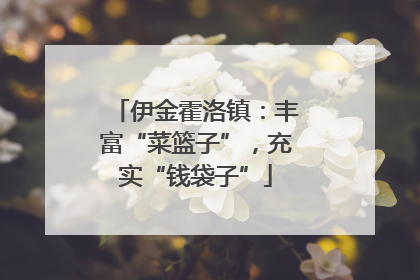 伊金霍洛镇：丰富“菜篮子”，充实“钱袋子”
