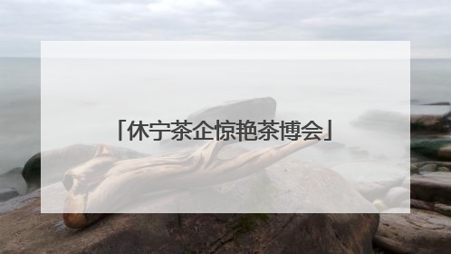 休宁茶企惊艳茶博会