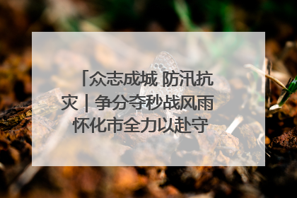 众志成城 防汛抗灾｜争分夺秒战风雨 怀化市全力以赴守护人民群众安全