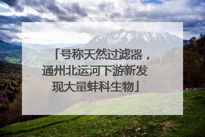 号称天然过滤器，通州北运河下游新发现大量蚌科生物