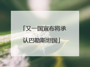 又一国宣布将承认巴勒斯坦国