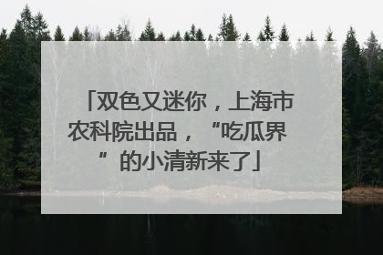 双色又迷你，上海市农科院出品，“吃瓜界”的小清新来了