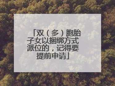 双（多）胞胎子女以捆绑方式派位的，记得要提前申请