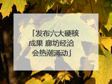 发布六大硬核成果 廊坊经洽会热潮涌动