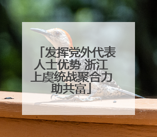 发挥党外代表人士优势 浙江上虞统战聚合力助共富