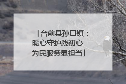 台前县孙口镇：暖心守护践初心 为民服务显担当