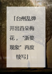 台州乱弹开出首朵梅花，“浙婺现象”再度续写