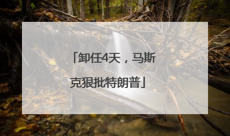 卸任4天，马斯克狠批特朗普