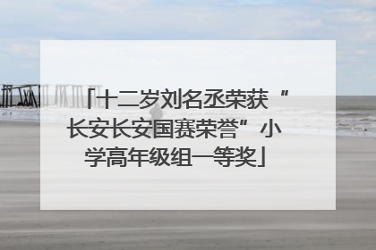 十二岁刘名丞荣获“长安长安国赛荣誉”小学高年级组一等奖