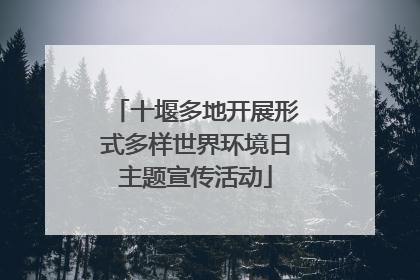 十堰多地开展形式多样世界环境日主题宣传活动
