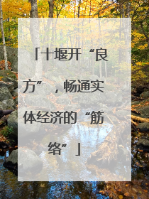 十堰开“良方”，畅通实体经济的“筋络”