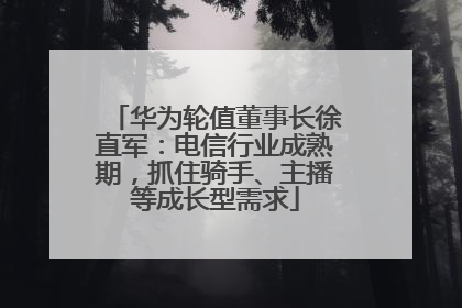 华为轮值董事长徐直军：电信行业成熟期，抓住骑手、主播等成长型需求