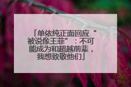 单依纯正面回应“被说像王菲”：不可能成为和超越前辈，我想致敬他们