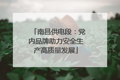 南昌供电段：党内品牌助力安全生产高质量发展
