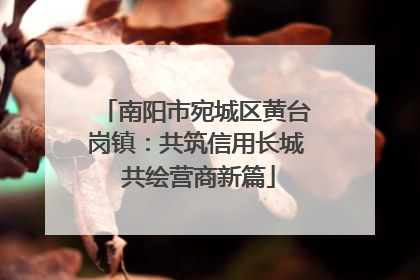 南阳市宛城区黄台岗镇：共筑信用长城 共绘营商新篇