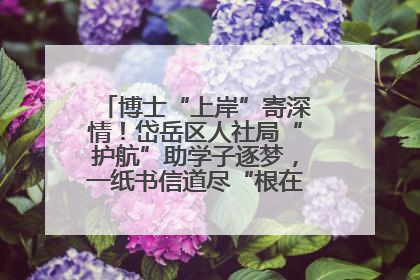 博士“上岸”寄深情！岱岳区人社局“护航”助学子逐梦，一纸书信道尽“根在岱岳”的眷恋