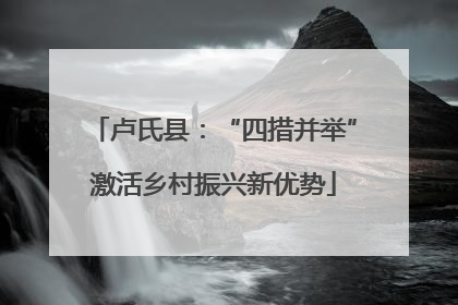 卢氏县：“四措并举”激活乡村振兴新优势