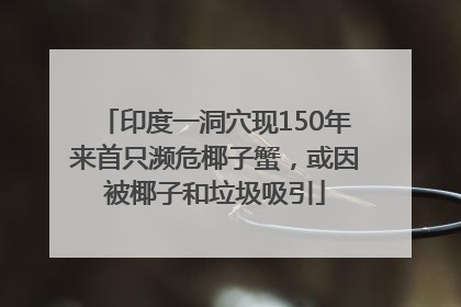 印度一洞穴现150年来首只濒危椰子蟹，或因被椰子和垃圾吸引