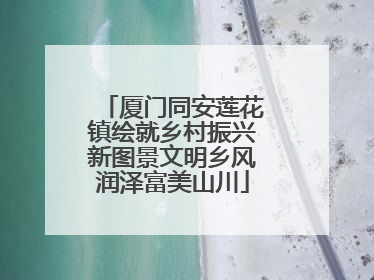 厦门同安莲花镇绘就乡村振兴新图景文明乡风润泽富美山川