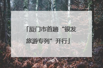 厦门市首趟“银发旅游专列”开行