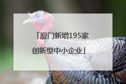 厦门新增195家创新型中小企业