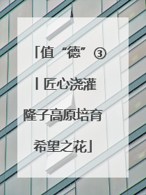 值“德”③丨匠心浇灌 隆子高原培育希望之花