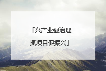 兴产业强治理 抓项目促振兴